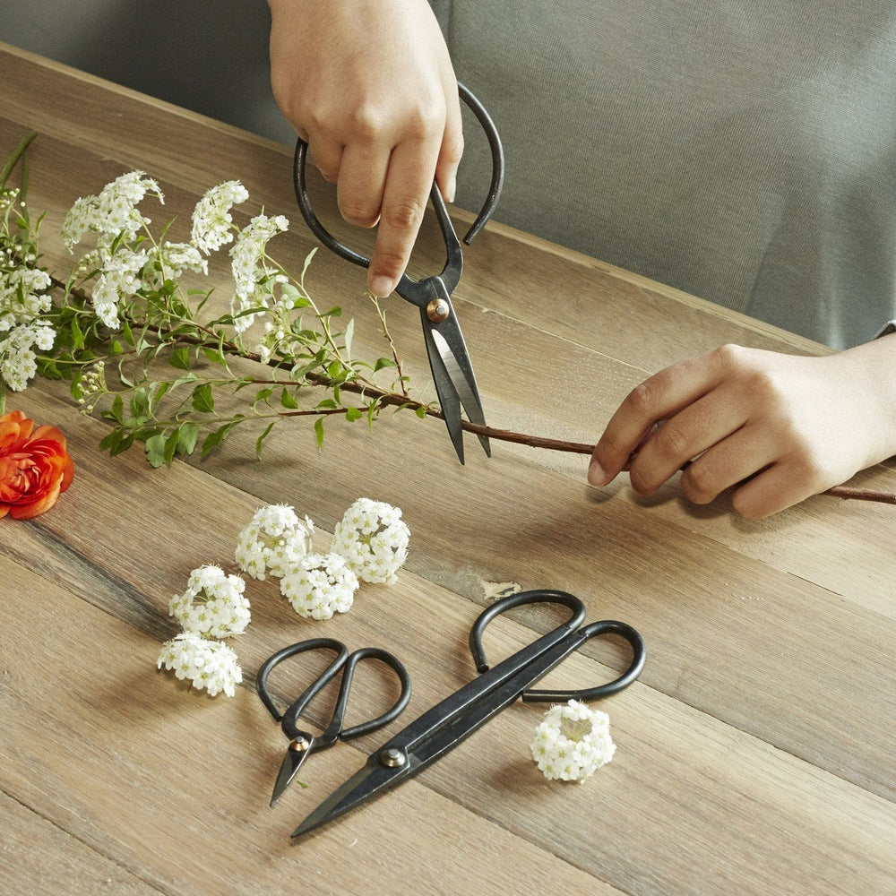 Garden Shears Set of 3 Garden Kikkerland 