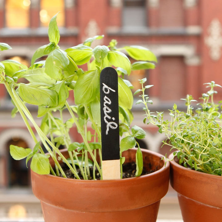 Kikkerland Garden Reusable Garden Markers