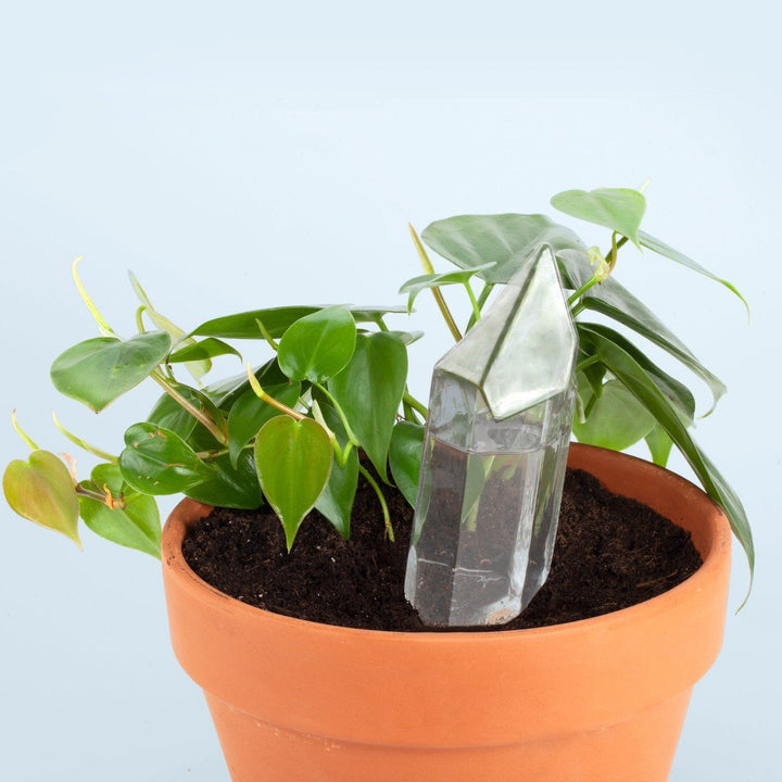 Water From a Crystal Watering Can Kikkerland 