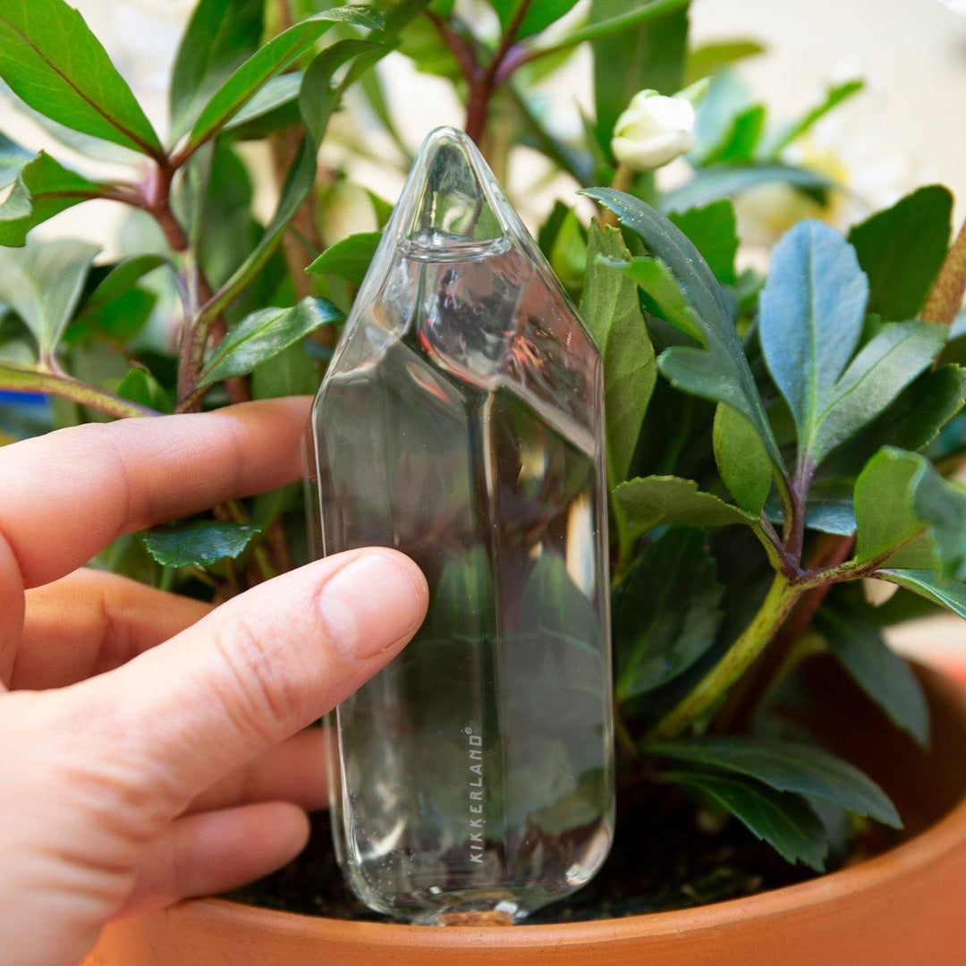 Water From a Crystal Watering Can Kikkerland 
