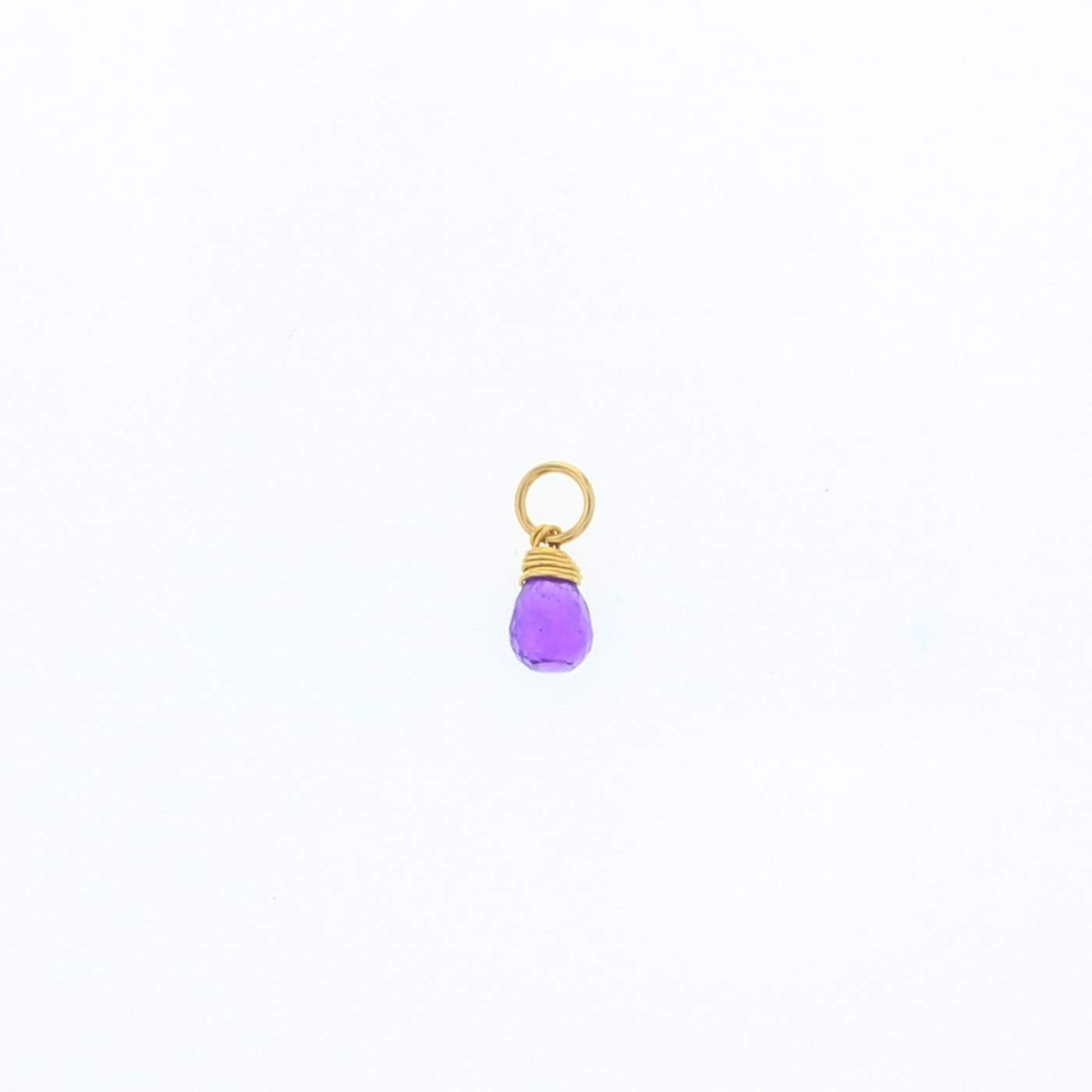 lotus-jewelry-studio-charm-february-amethyst-gold-natural-birthstone-charms-23205086363844.jpg?v\u003d1665671491\u0026width\u003d1080