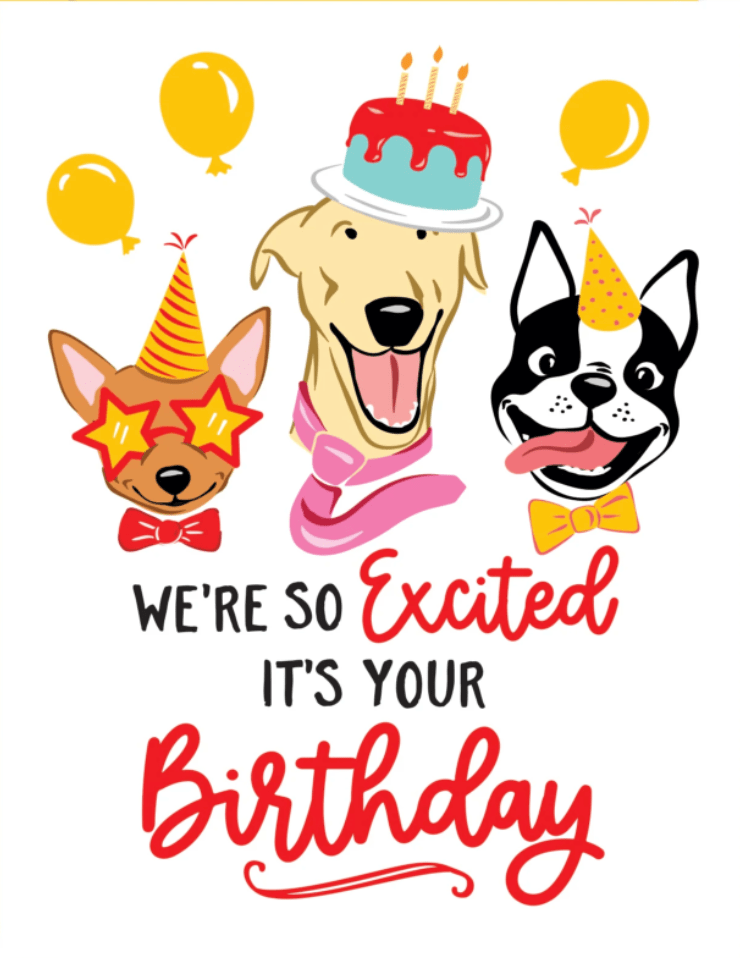 Lucy Loves Paper Card So Excited - Dog Lovers Birthday Card