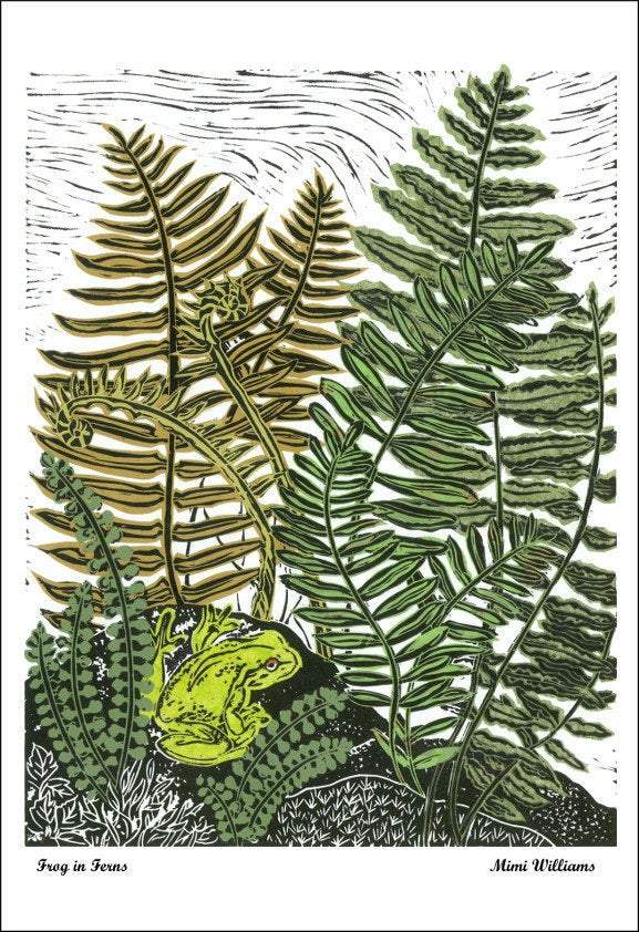 Mimi Williams Card Frog in Ferns Card