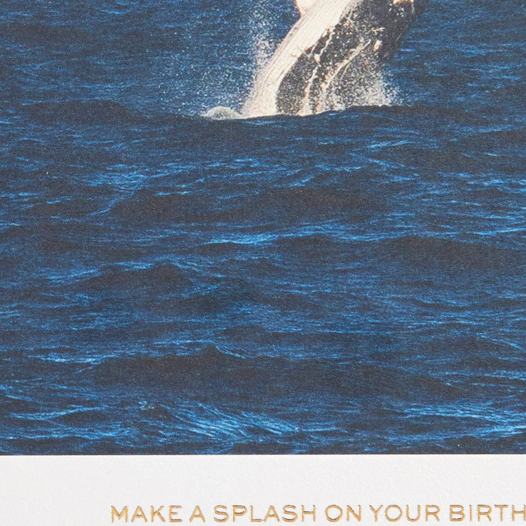 Niquea.D Card Breeching Whale Birthday Card