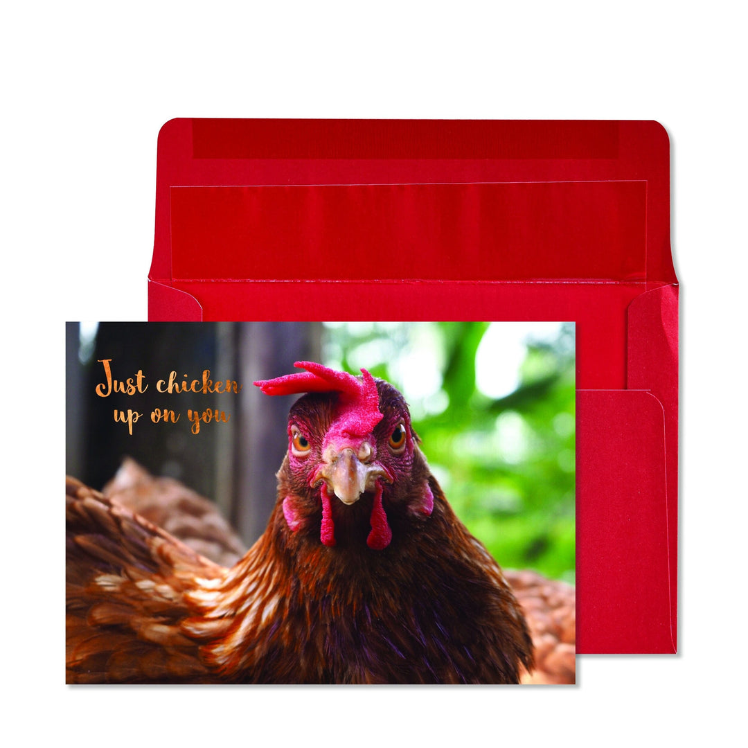 Niquea.D Card Chicken Get Well Card