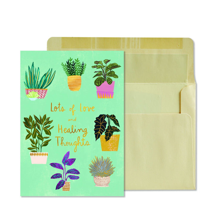 Niquea.D Card Potted Plants Get Well Card