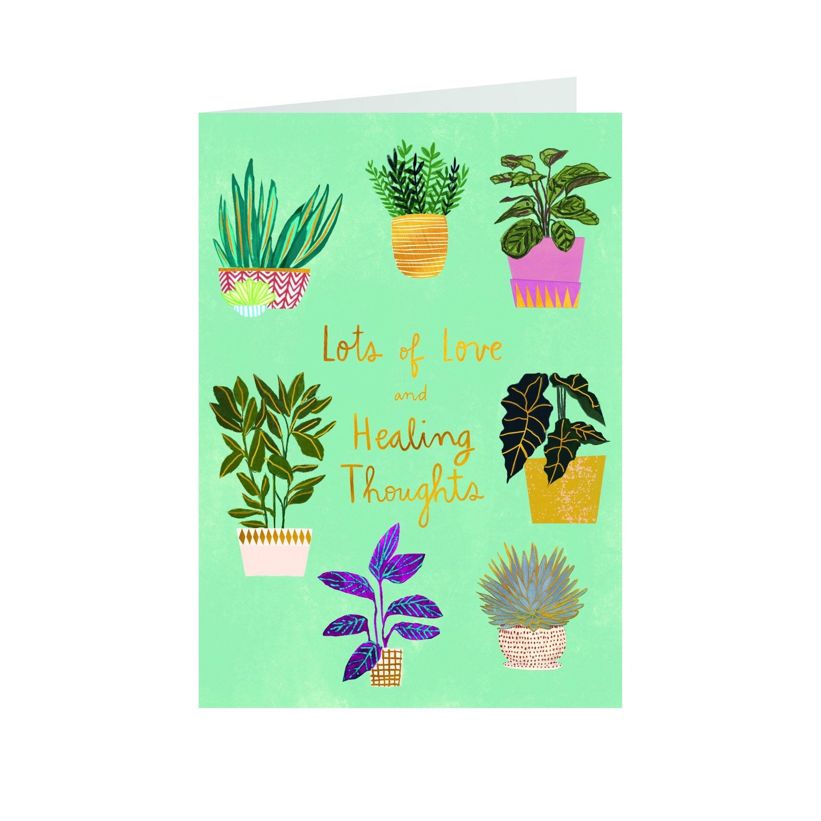 Niquea.D Card Potted Plants Get Well Card