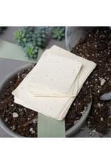 Oblation Papers & Press Stationery Set Seed Handmade Paper Pack w/ Envelopes