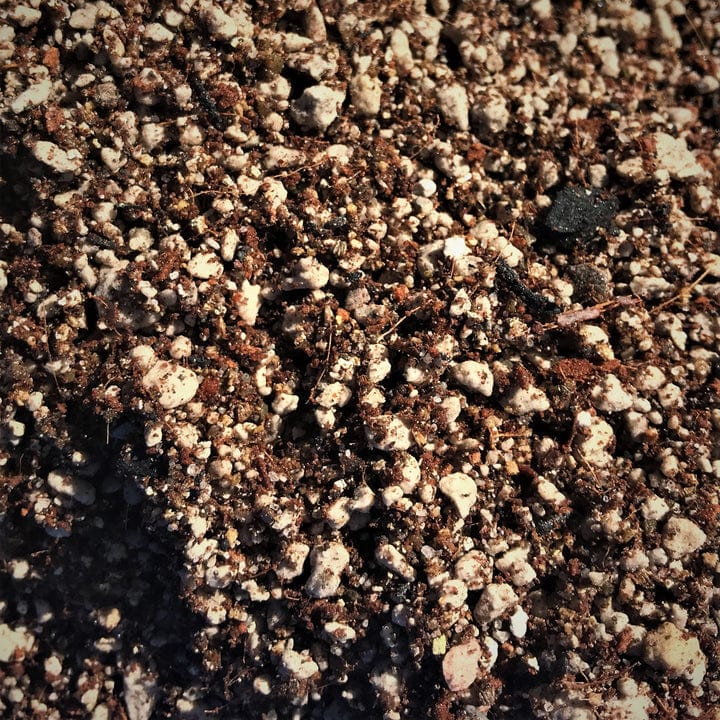Oh Happy Plants Dirt Desert Succulent Blend Dirt - 1qt