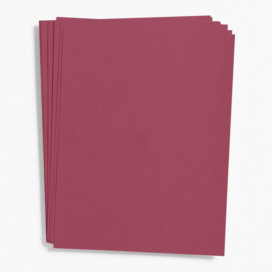 Paper Source Paper Pack Dahlia Paper 8.5" x 11" (Cover Weight)