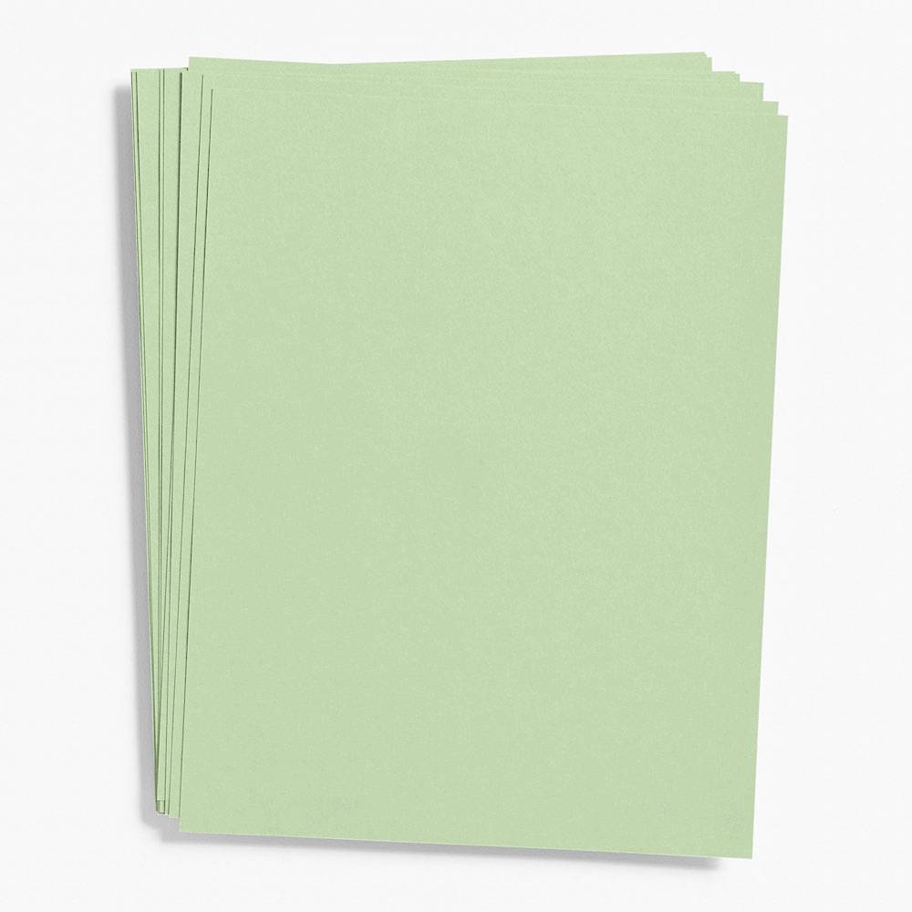 Paper Source Paper Pack Eucalyptus Paper 8.5" x 11" (Cover Weight)