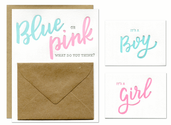 Parrott Design Studio Card Blue or Pink Gender Reveal Cards