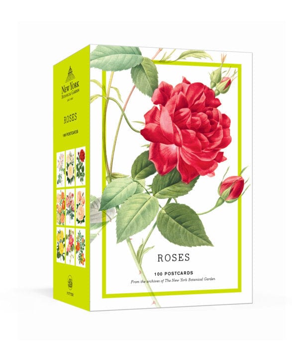 Penguin Random House Postcards Roses - 100 Postcards