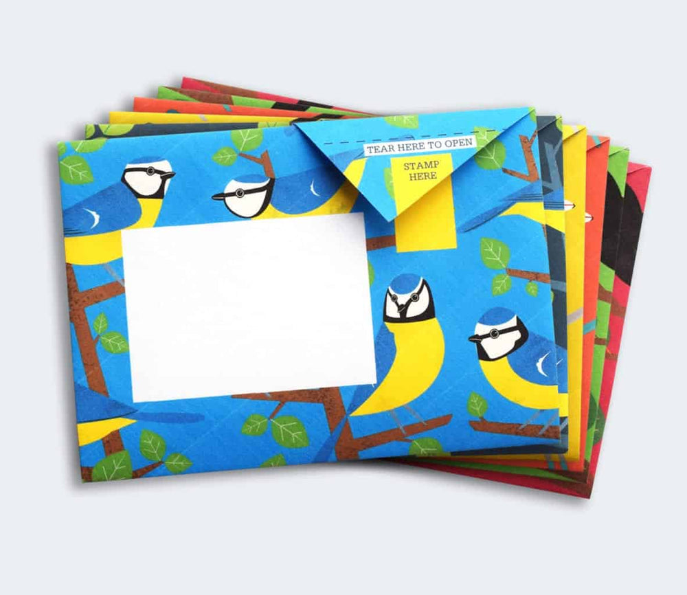 Pigeon Boxed Card Set Dawn Chorus Pigeon Packs