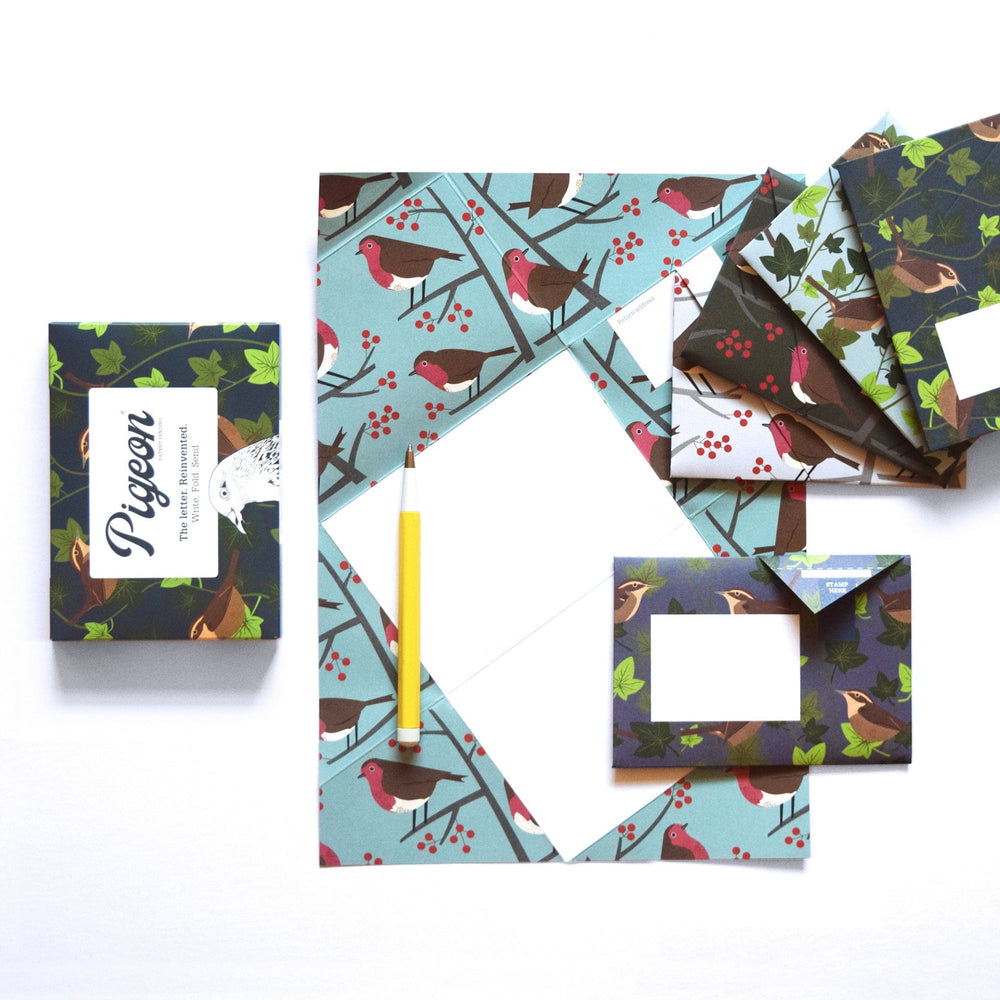 Pigeon Boxed Card Set Robin and Wren Pigeon Packs