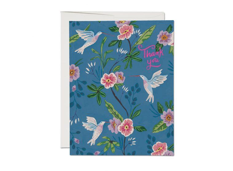 Red Cap Cards Card Blue Hummingbird Thank You Card