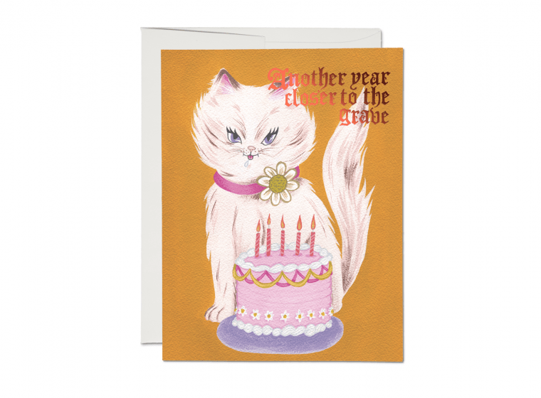 Red Cap Cards Card Kitty and Cake Foil Birthday Card