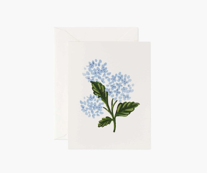 Rifle Paper Co. Card Hydrangea Bloom Card