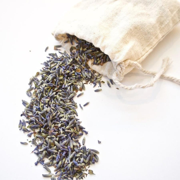 Seattle Seed Co. Botanicals Organic Lavender Sachet