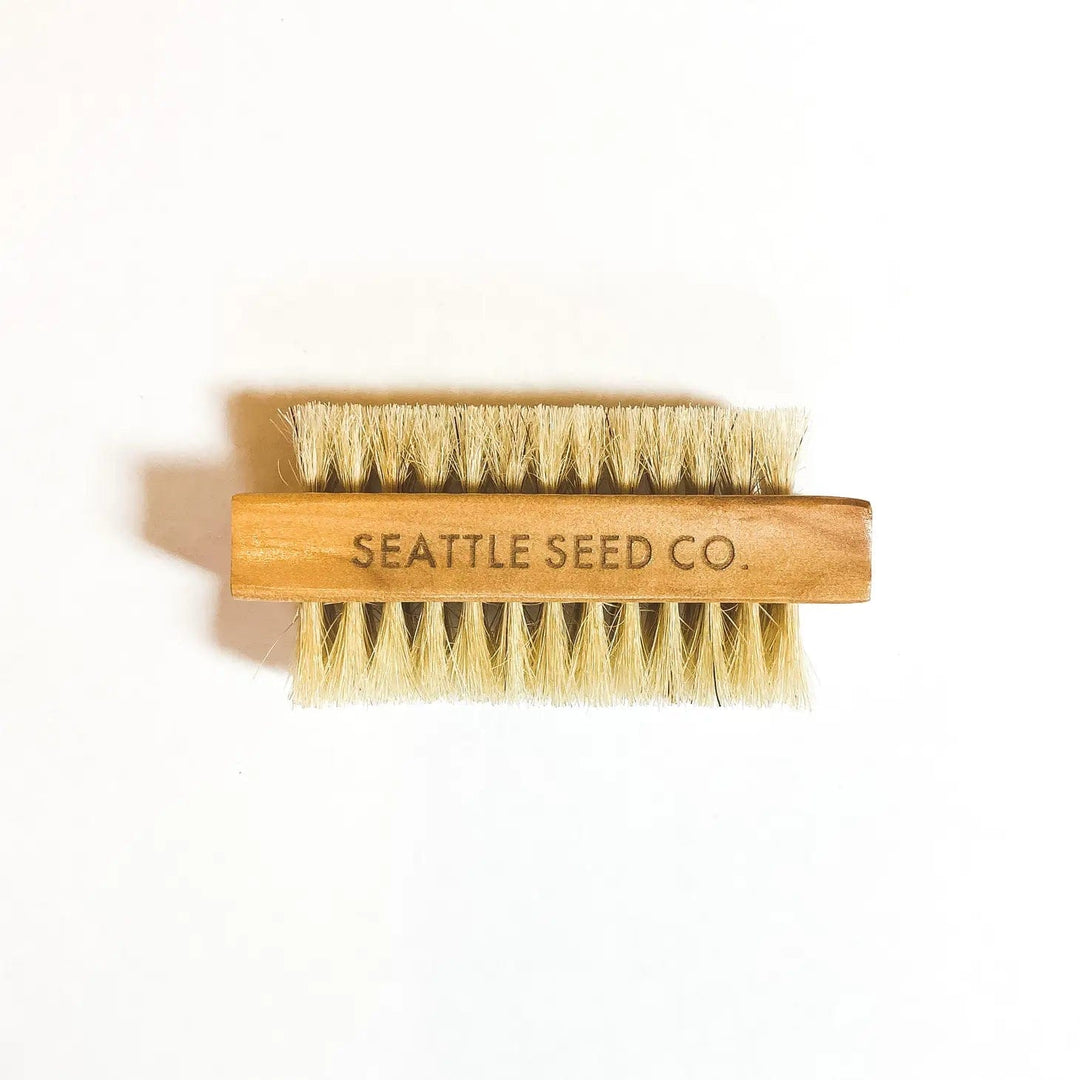 Seattle Seed Co. Brush Vegetable and Nail Brush