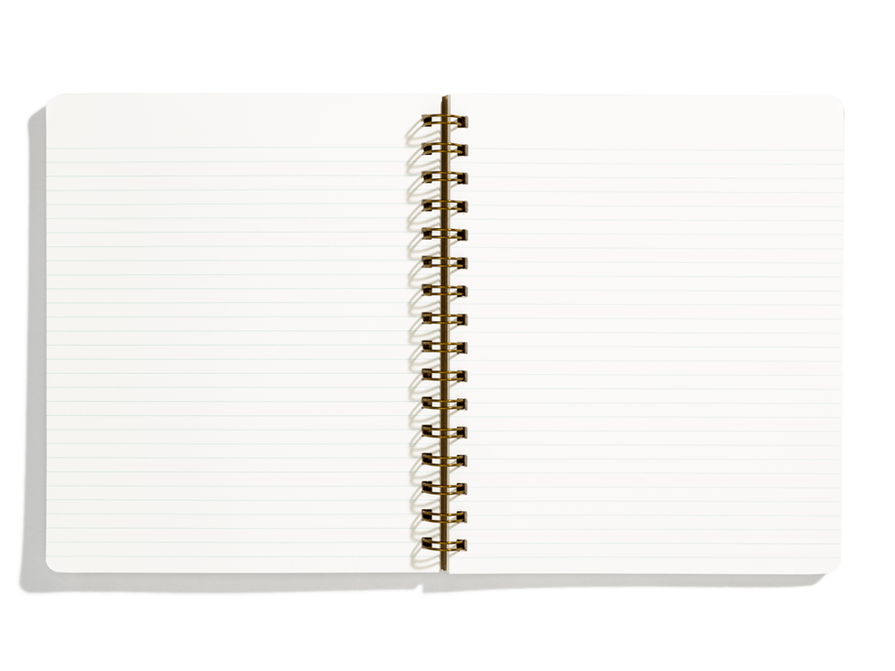 Shorthand Press Notebook Standard Notebook - Green Apple Cover