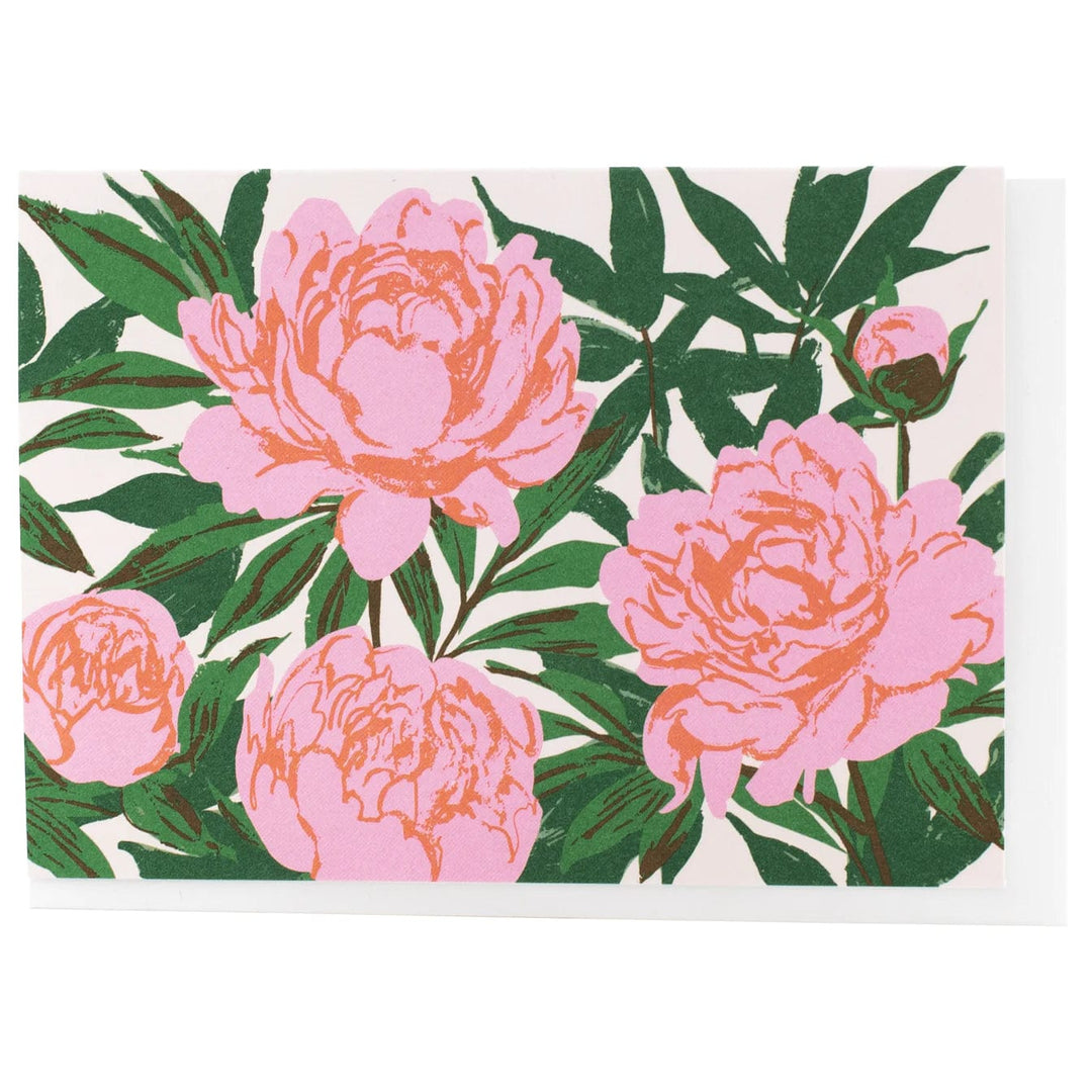 Smudge Ink Boxed Card Set Pink Garden Peonies Note Card Box of 10