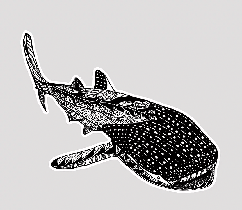 Sowing Ground Sticker Whale Shark Vinyl Sticker