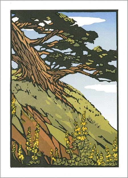 The Arts & Crafts Press Card Coastal Cypress - Blank Card