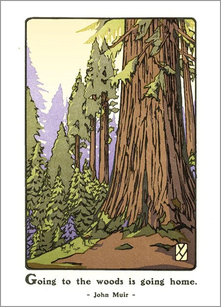 The Arts & Crafts Press Card Giant Sequoia - Blank Card