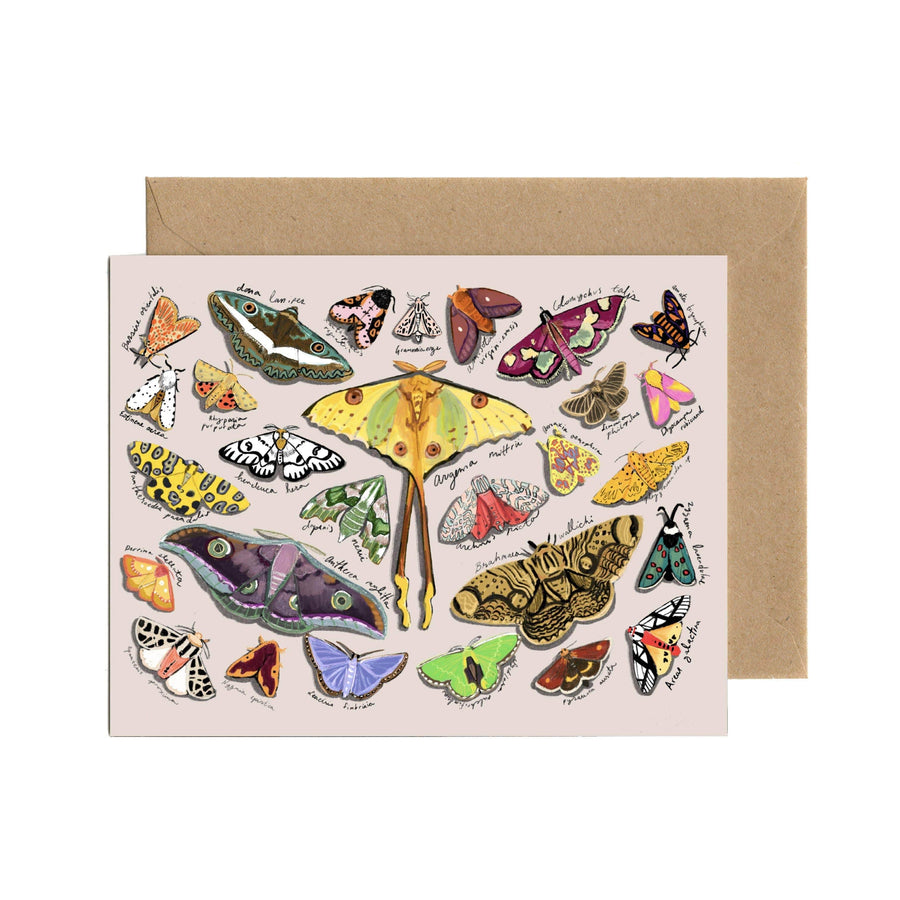 Tiny and Snail Card Moth Stationery Card