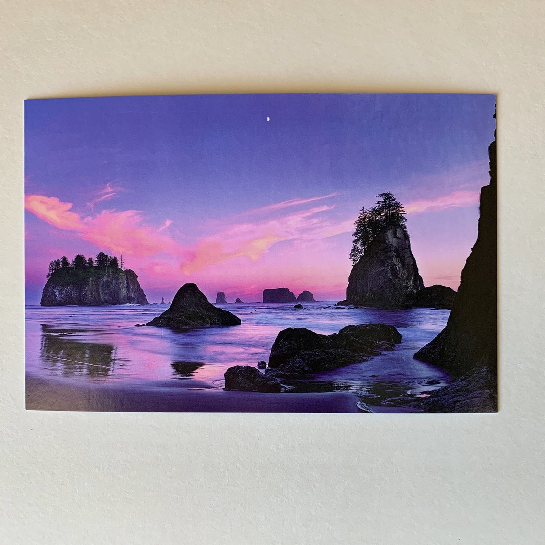 Tom Haseltine Photography Postcard La Push Sunset Postcard