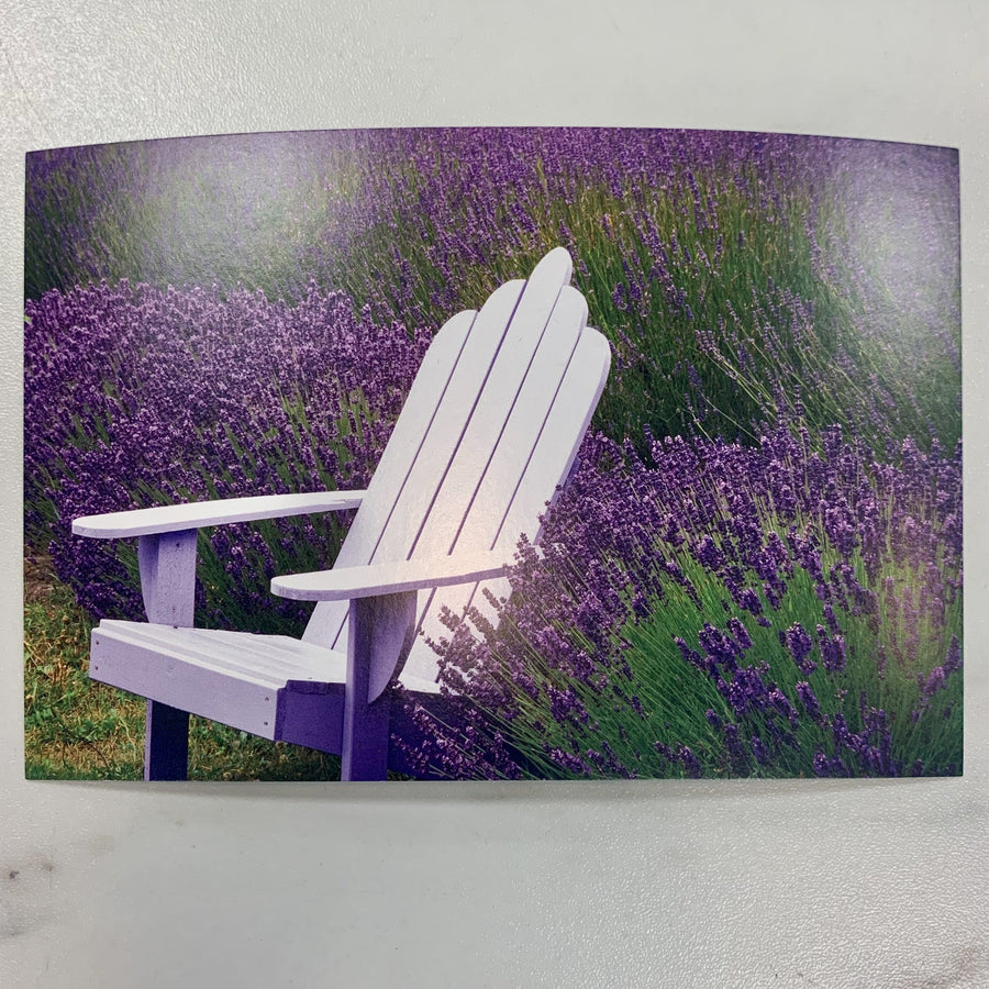 Tom Haseltine Photography Postcard Lavender Fields, Sequim, WA Postcard