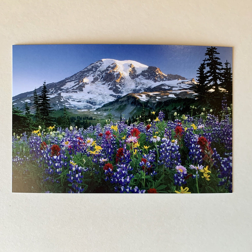 https://paper-luxe.com/cdn/shop/products/tom-haseltine-photography-postcard-mazama-ridge-wildflowers-postcard-15217066180696_1024x1024.jpg?v=1665510570