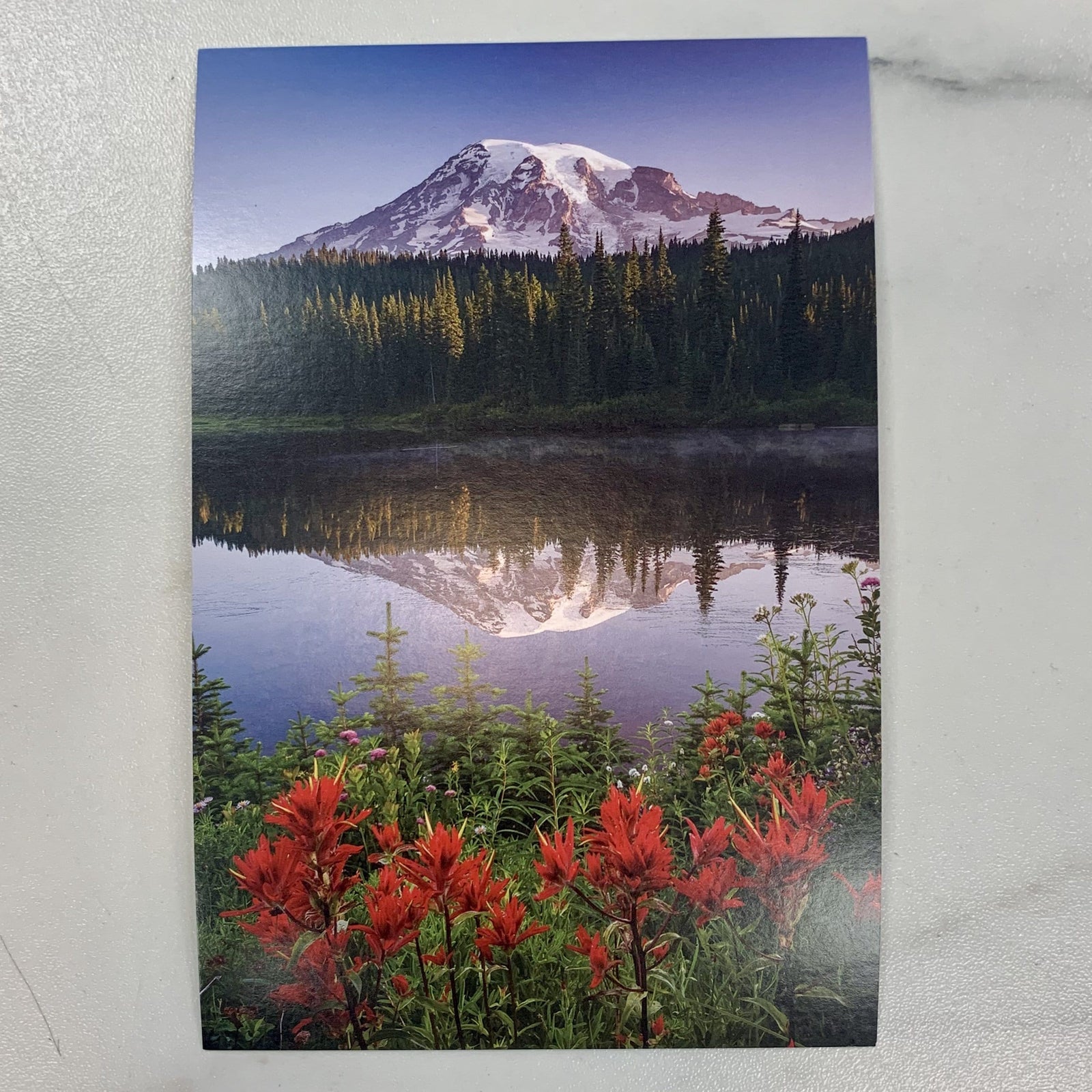 Tom Haseltine Photography Postcard Reflection Lake and Mount Rainier Postcard
