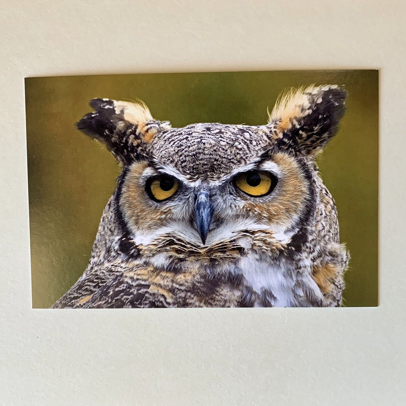 Tom Haseltine Photography Postcard See You Postcard