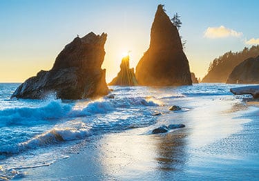 Tom Haseltine Photography Postcard Split Rock, Olympic National Park Postcard