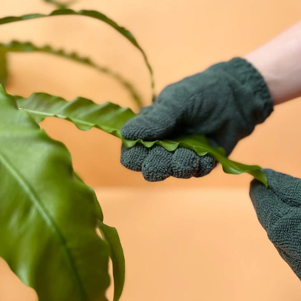 We The Wild Plant Care USA Plant Care Leaf Cleaning Gloves