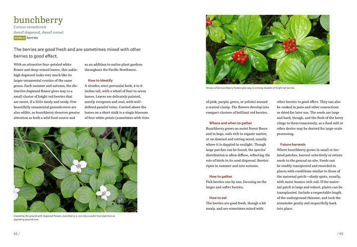 Workman Publishing Book Pacific Northwest Foraging