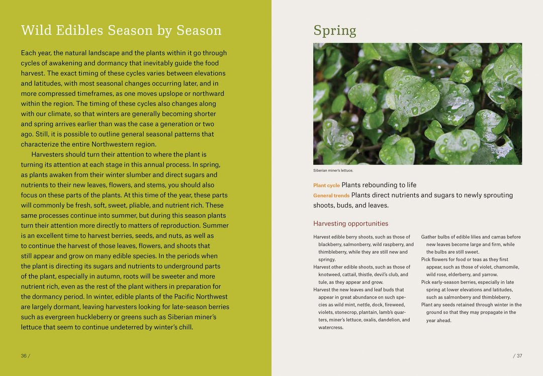 Workman Publishing Book Pacific Northwest Foraging