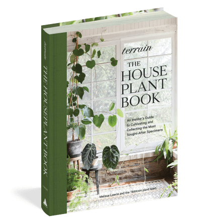 Workman Publishing Book Terrain: The Houseplant Book