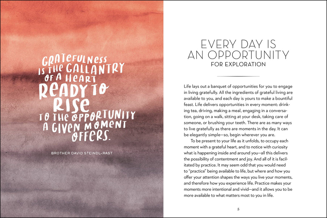 Workman Publishing Book The Gratitude Explorer Workbook