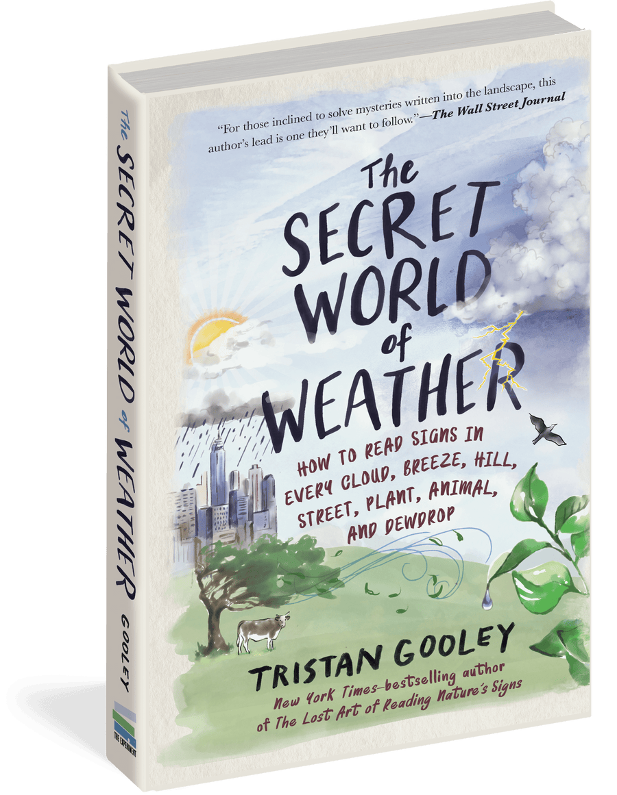 Workman Publishing Book The Secret World of Weather - Hardcover