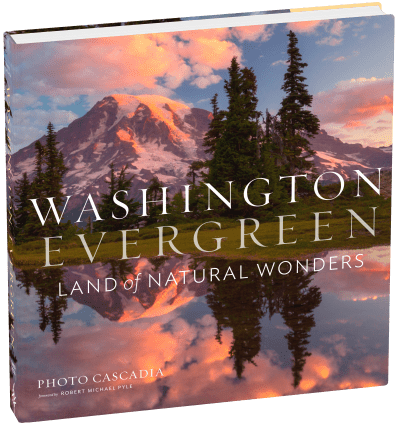 Workman Publishing Book Washington, Evergreen