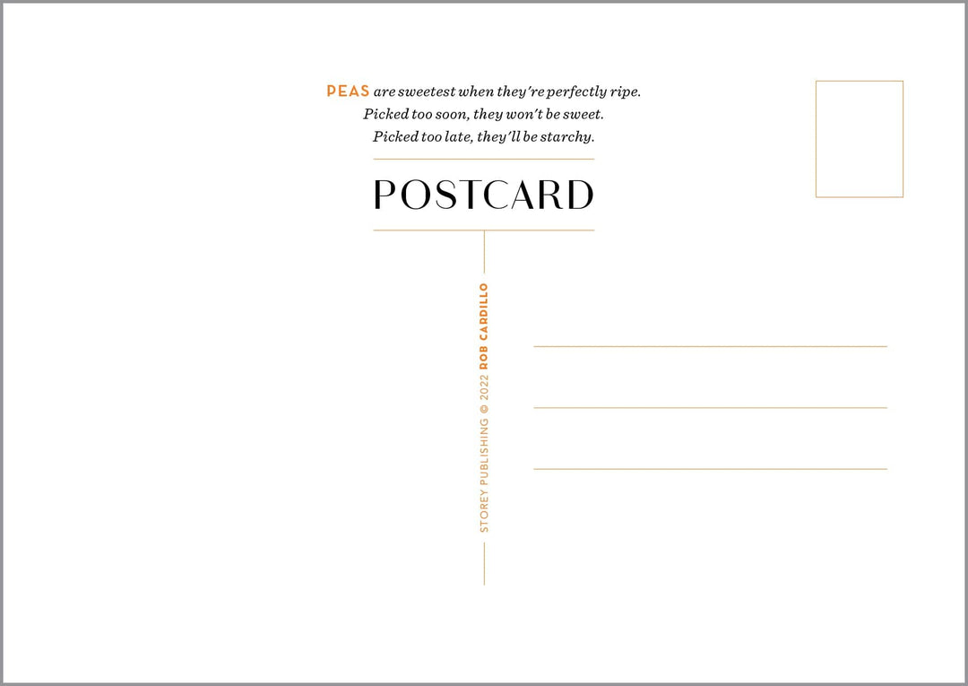 Workman Publishing Post Cards Garden Fresh -  100 Postcards
