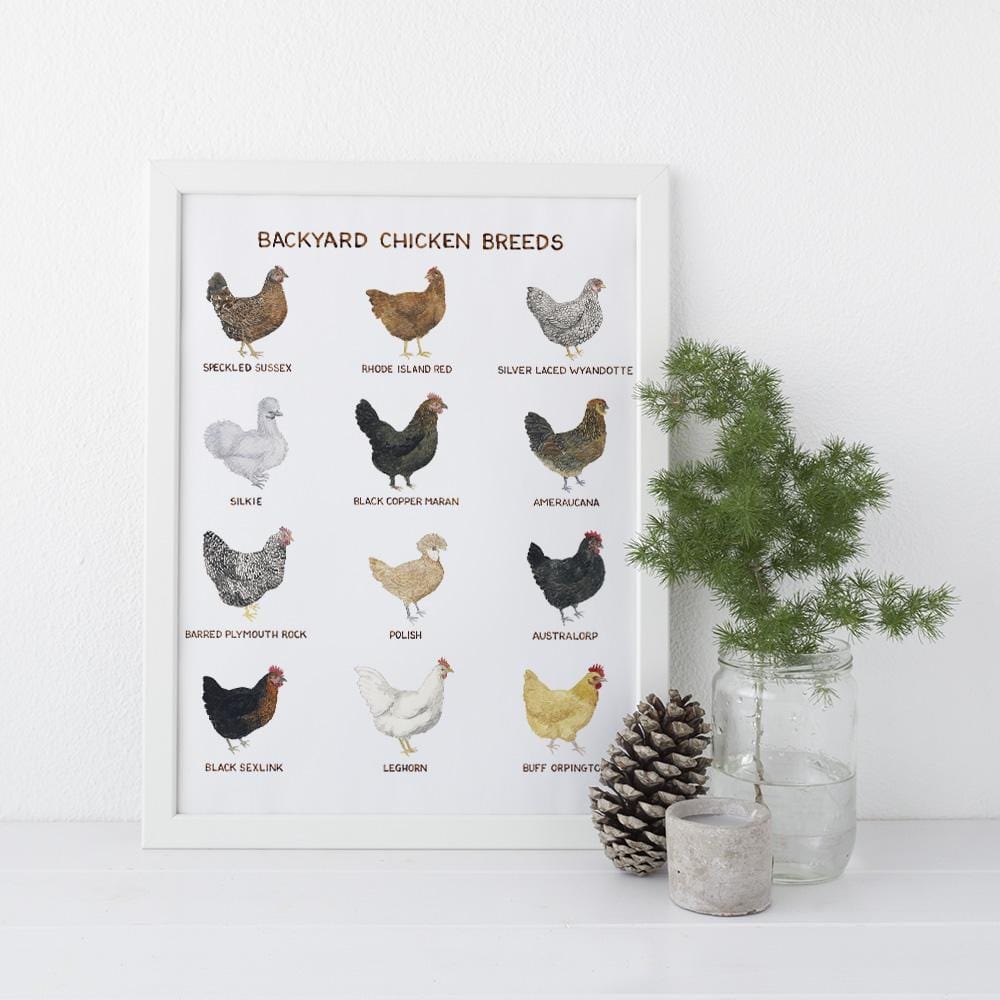 Yardia Art Print 11"x14" Backyard Chicken Breeds Art Print