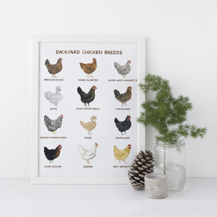 Yardia Art Print 11"x14" Backyard Chicken Breeds Art Print