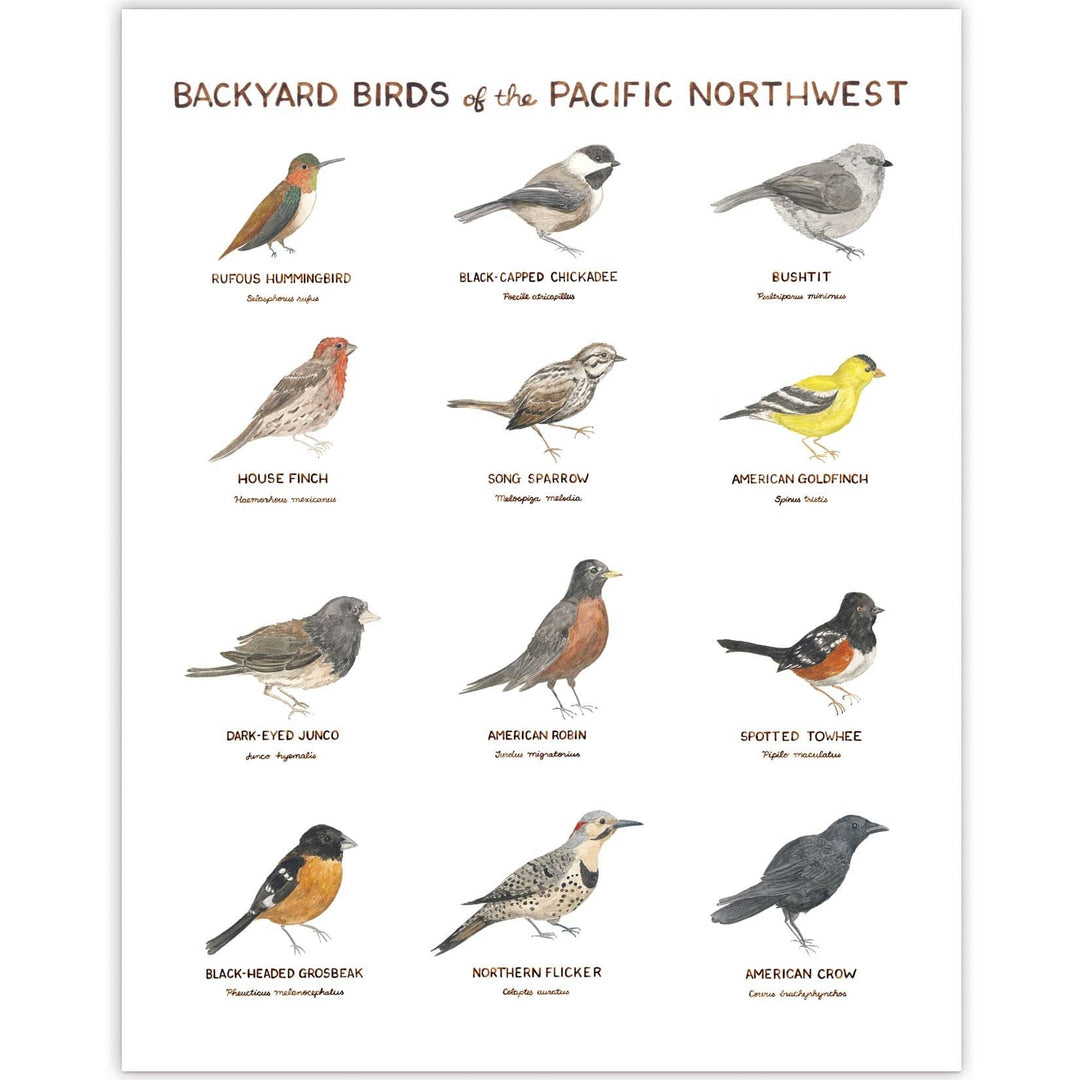 Yardia Art Print Backyard Birds of the Pacific Northwest 11x14 Art Print