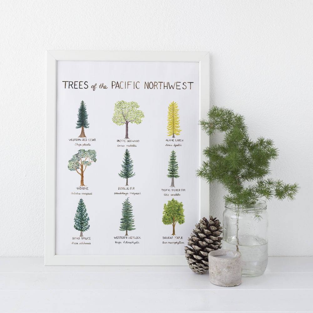 Pacific Northwest Trees Art Print – Paper Luxe