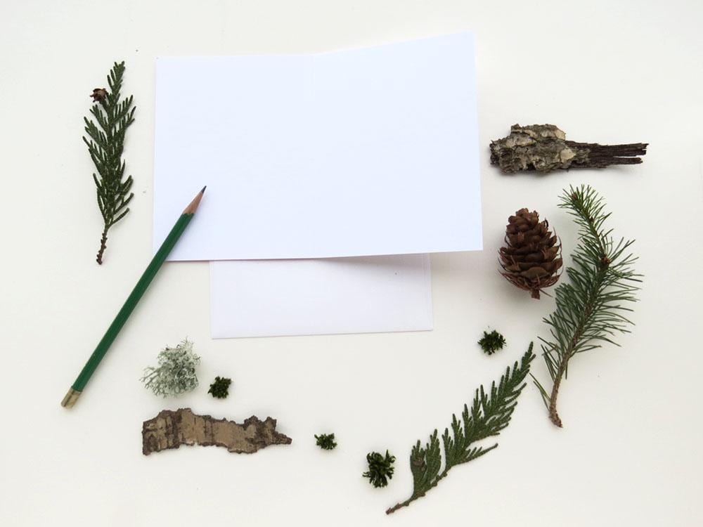 Yardia Card Pet Sympathy Card