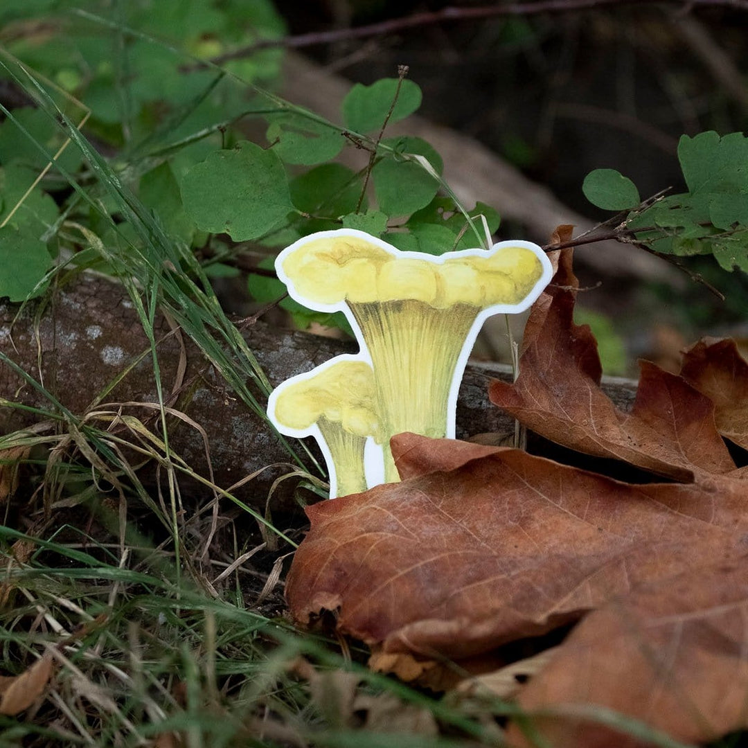 Yardia Sticker Chanterelle Mushroom Sticker